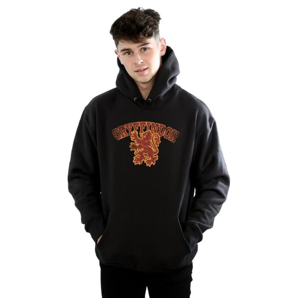 Harry Potter Mens Gryffindor Sport Emblem Hoodie