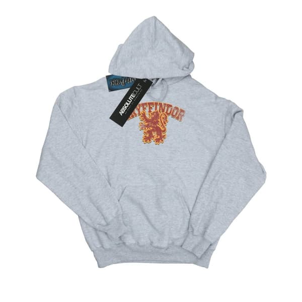 Harry Potter Mens Gryffindor Sport Emblem Hoodie