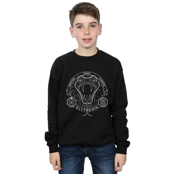 Harry Potter Slytherin Seal-tröja för pojkar