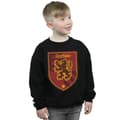Miniatyrbillede 2 af 5: Harry Potter Boys Gryffindor Crest Flat Sweatshirt