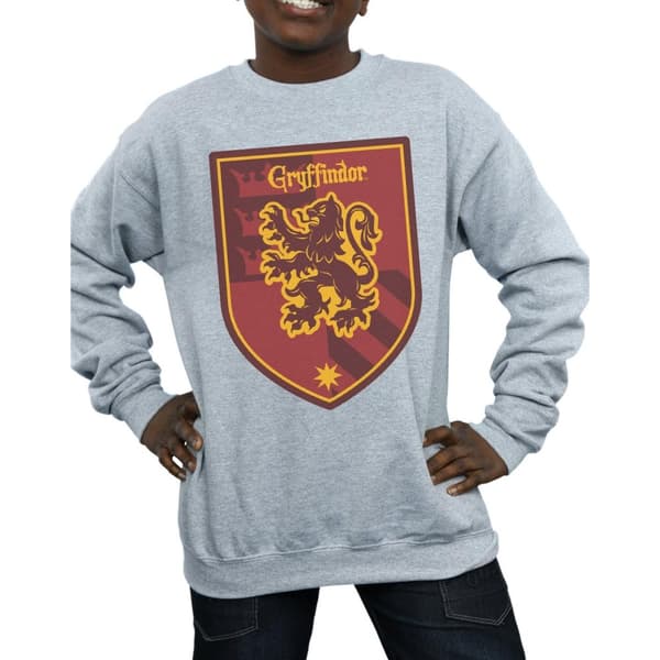 Harry Potter Boys Gryffindor Crest Flat Sweatshirt