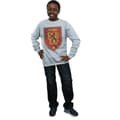 Miniatyrbillede 4 af 5: Harry Potter Boys Gryffindor Crest Flat Sweatshirt
