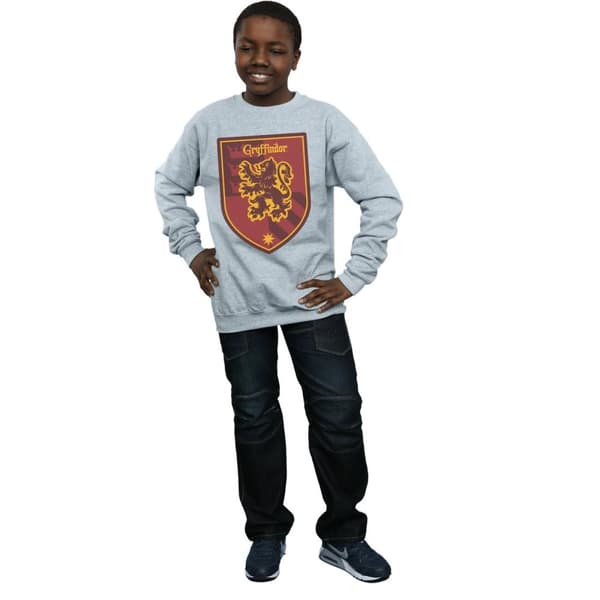 Harry Potter Boys Gryffindor Crest Flat Sweatshirt