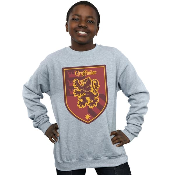 Harry Potter Boys Gryffindor Crest Flat Sweatshirt