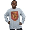 Miniatyrbillede 2 af 5: Harry Potter Boys Gryffindor Crest Flat Sweatshirt