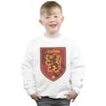 Miniatyrbillede 2 af 5: Harry Potter Boys Gryffindor Crest Flat Sweatshirt