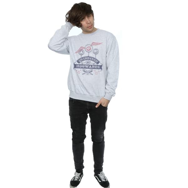 Harry Potter Mens Quidditch At Hogwarts Sweatshirt