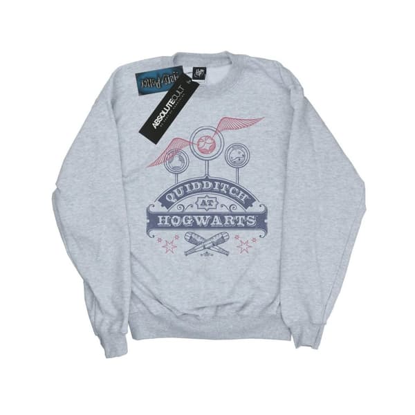 Harry Potter Mens Quidditch At Hogwarts Sweatshirt