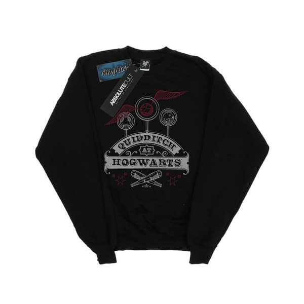 Harry Potter Mens Quidditch At Hogwarts Sweatshirt