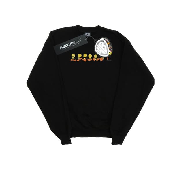 Looney Tunes Womens/Ladies Tweety Pie Colour Code Sweatshirt