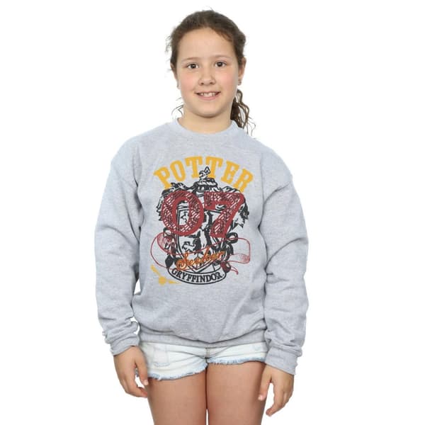 Harry Potter Girls Gryffindor Seeker Sweatshirt