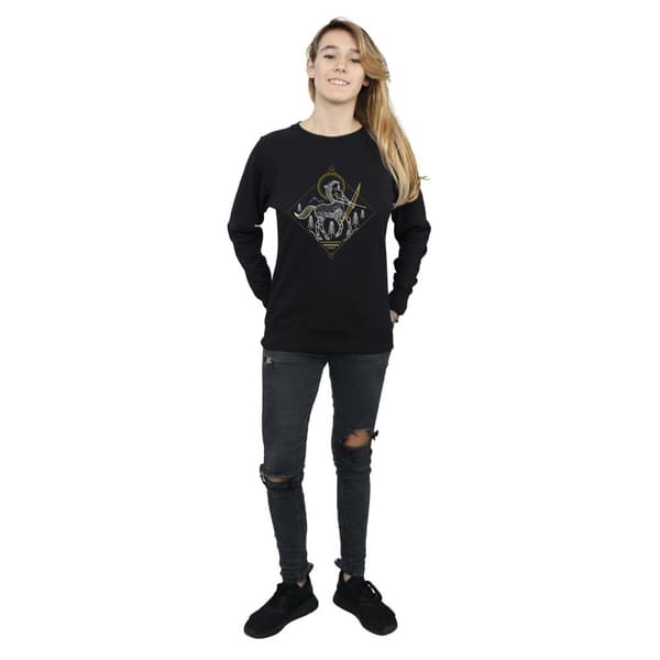 Harry Potter Womens/Ladies Centaur Line Art Sweatshirt