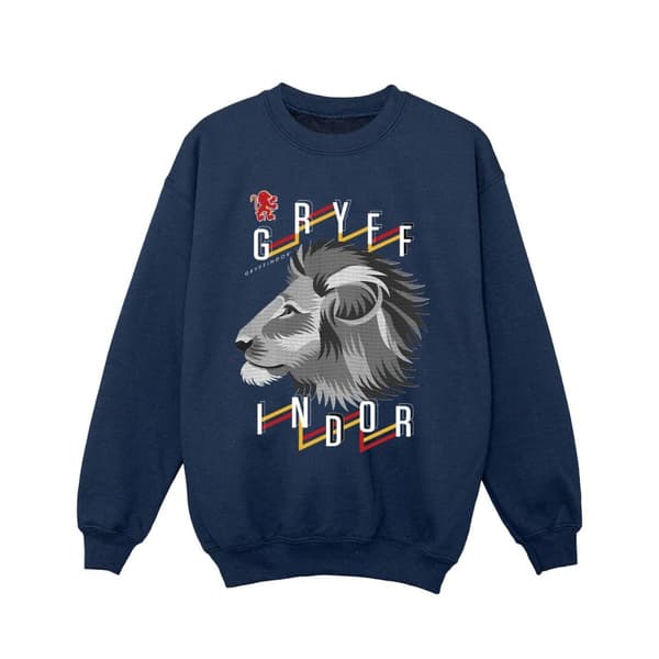 Harry Potter Girls Gryffindor Lion Icon Sweatshirt
