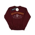 Miniatyrbilde 1 av 3: Harry Potter Womens/Ladies Gryffindor Team Quidditch Sweatshirt