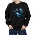 Miniatyrbilde 3 av 5: Harry Potter Boys Voldemort Shadow Sweatshirt