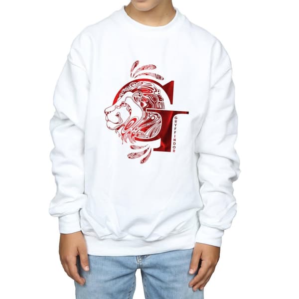 Harry Potter Boys Gryffindor Lion Sweatshirt