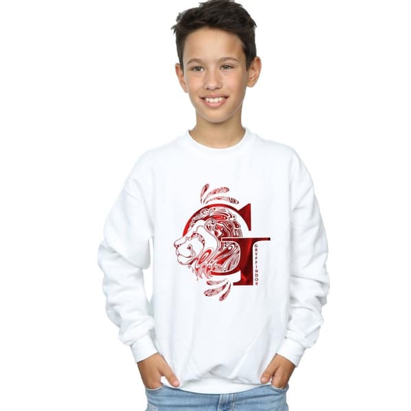 Harry Potter Boys Gryffindor Lion Sweatshirt