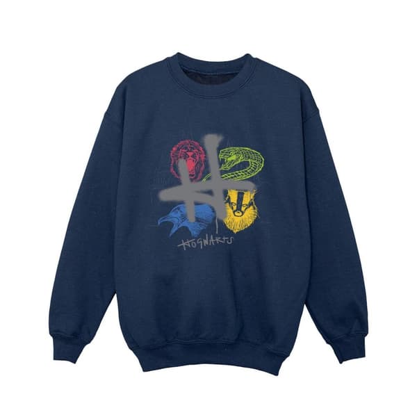 Harry Potter Girls Emblems H Spray Sweatshirt