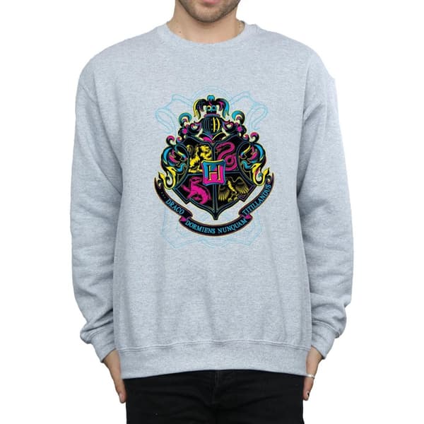 Harry Potter Neon Hogwarts Crest Sweatshirt för herrar