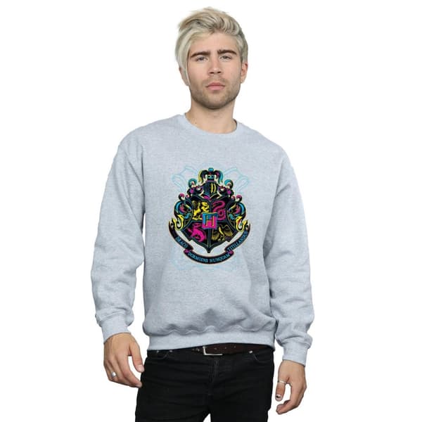 Harry Potter Neon Hogwarts Crest Sweatshirt för herrar