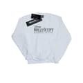 Miniatyrbilde 1 av 3: Disney Girls Maleficent Mistress Of Evil Logo Sweatshirt