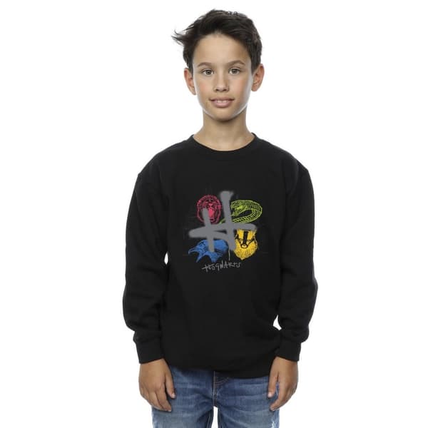 Harry Potter Boys Emblems H Spray Sweatshirt