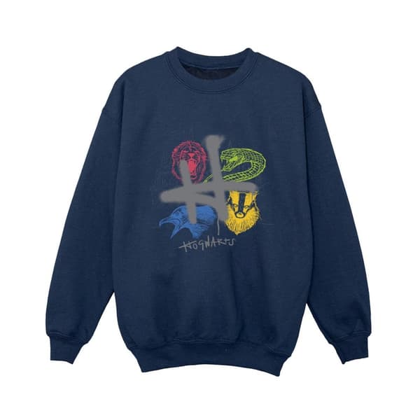 Harry Potter Boys Emblems H Spray Sweatshirt
