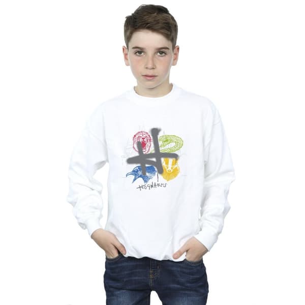 Harry Potter Boys Emblems H Spray Sweatshirt