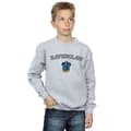 Miniatyrbillede 2 af 3: Harry Potter Boys Ravenclaw Crest Sweatshirt