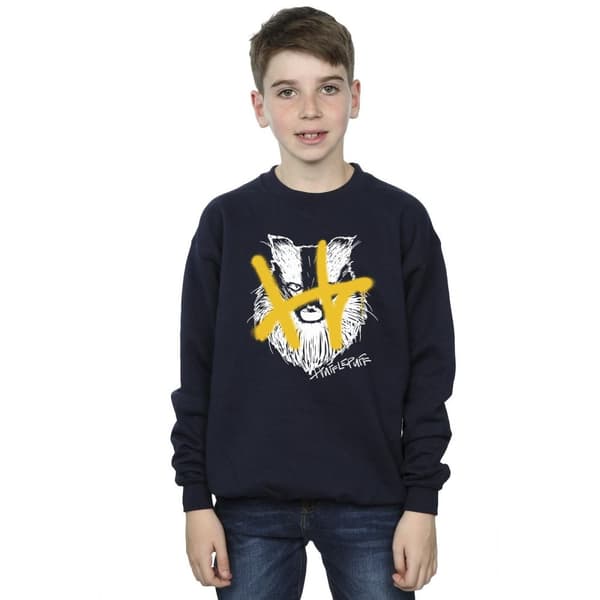 Harry Potter Hufflepuff Pop Spray-tröja för pojkar