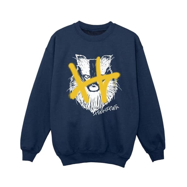 Harry Potter Hufflepuff Pop Spray-tröja för pojkar