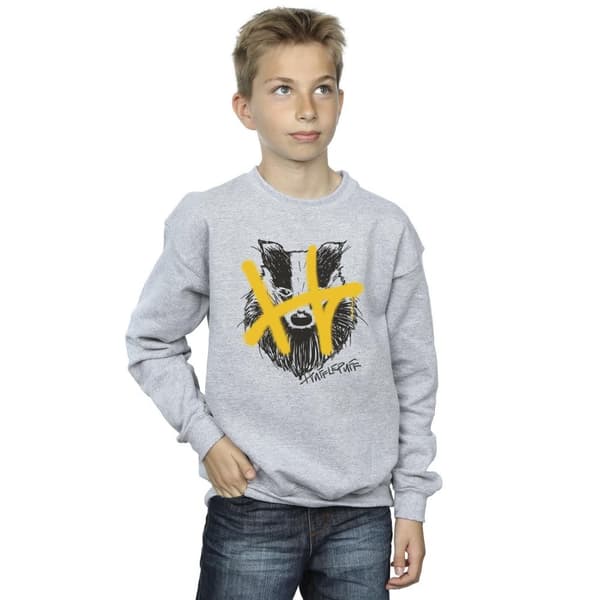Harry Potter Hufflepuff Pop Spray-tröja för pojkar