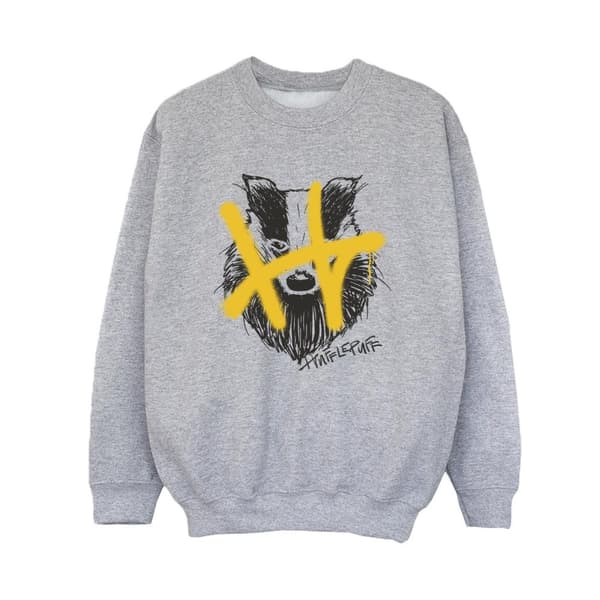Harry Potter Hufflepuff Pop Spray-tröja för pojkar