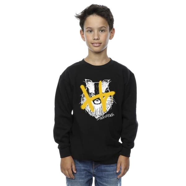 Harry Potter Hufflepuff Pop Spray-tröja för pojkar