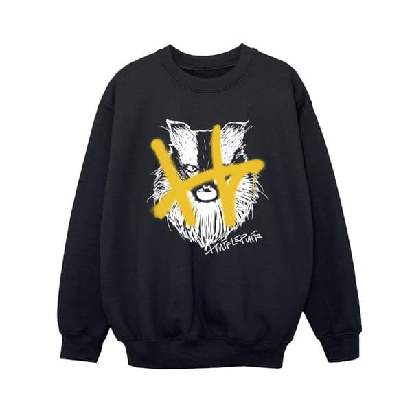 Harry Potter Hufflepuff Pop Spray-tröja för pojkar