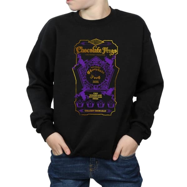 Harry Potter Boys Chocolate Frogs Coloured Label Sweatshirt