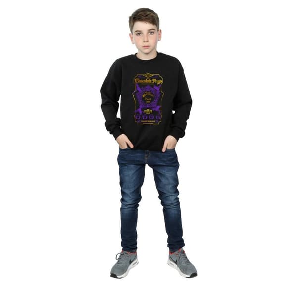 Harry Potter Boys Chocolate Frogs Coloured Label Sweatshirt