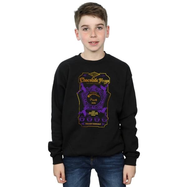 Harry Potter Boys Chocolate Frogs Coloured Label Sweatshirt