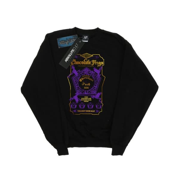 Harry Potter Boys Chocolate Frogs Coloured Label Sweatshirt