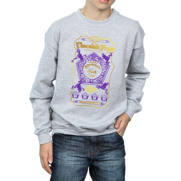 Harry Potter Boys Chocolate Frogs Coloured Label Sweatshirt