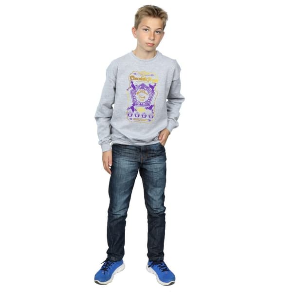 Harry Potter Boys Chocolate Frogs Coloured Label Sweatshirt