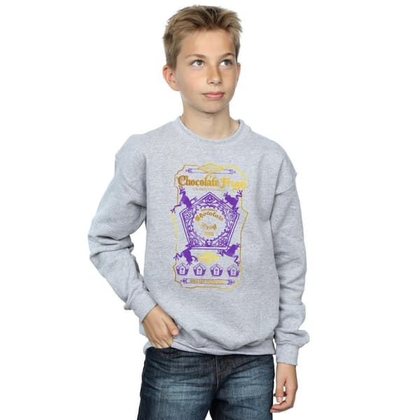 Harry Potter Boys Chocolate Frogs Coloured Label Sweatshirt