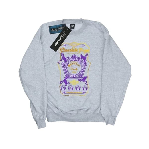 Harry Potter Boys Chocolate Frogs Coloured Label Sweatshirt