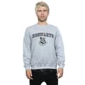 Miniatyrbild 2 av 3: Harry Potter Sweatshirt med Hogwarts-emblem för herrar