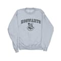 Miniatyrbild 1 av 3: Harry Potter Sweatshirt med Hogwarts-emblem för herrar