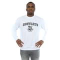 Miniatyrbild 2 av 3: Harry Potter Sweatshirt med Hogwarts-emblem för herrar