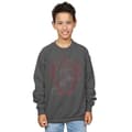 Miniatyrbillede 2 af 3: Harry Potter Boys Gryffindor Lion Crest Sweatshirt