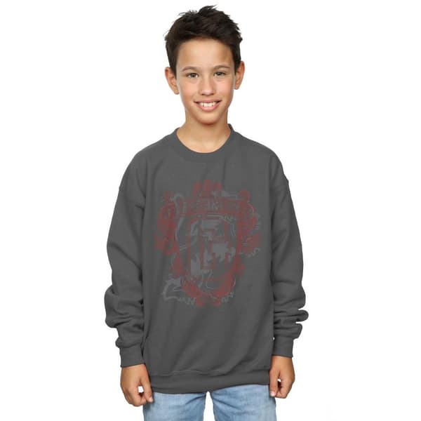 Harry Potter Boys Gryffindor Lion Crest Sweatshirt