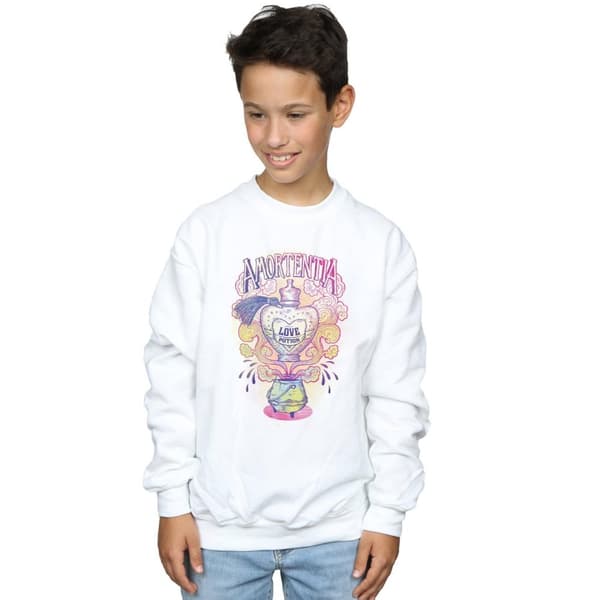 Harry Potter Pojkar Love Potion - Sweatshirt