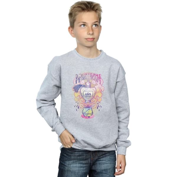Harry Potter Pojkar Love Potion - Sweatshirt